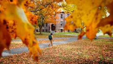 A student is framed by gold leaves on the Arts Quad.
