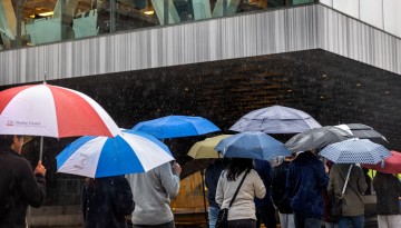 A line of umbrellas parade past Milstein Hall during a spring rain.