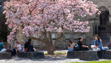 Members of the Cornell community gather outside Uris Library on a warm spring day.