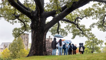 A class meets beneath the oldest tree on Libe Slope during a rainy afternoon.