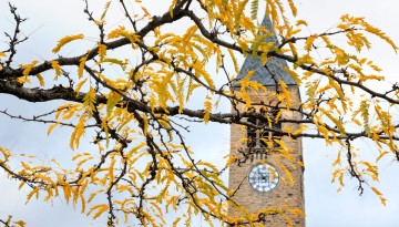 McGraw Tower behind autumn leaves.
