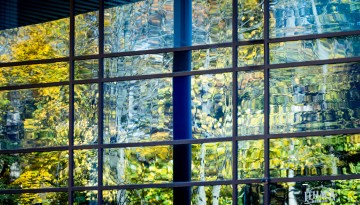 Foliage is reflected in the windows of the Student Services Building in Collegetown.