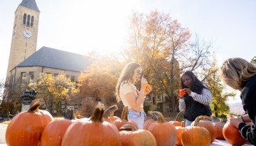 Students paint pumpkins on the Arts Quad.