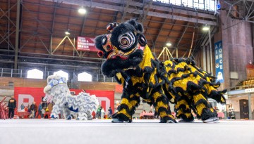 The Cornell Lion Dance group performs during the Fall Employee Celebration in Barton Hall.