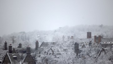 Snow on rooftops