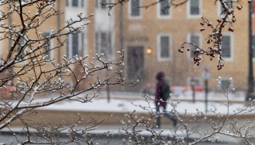 A student walks to class past Martha van Rennselaer Hall through snow flurries.