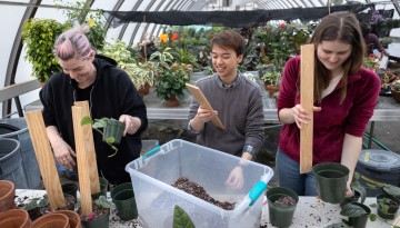 Members of Hortus Forum, a horticulture club, work in a Kenneth Post Laboratory greenhouse.