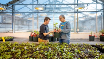 Researchers in greenhouse