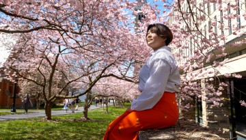 A student admires the cherry blossoms near Olin Library