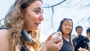 Students pet chickens on the Arts Quad.