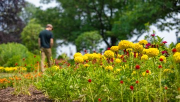 A summer student explores Minns Garden in bloom.