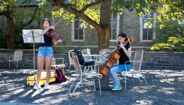Two women playing string instruments under a tree. 