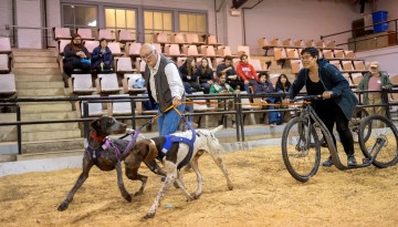 The Cornell Outing Club host a bikejoring demonstration by Wendy Tarlow in the Livestock Pavilion.