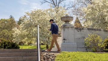 Blossoms fill the trees outside Goldwin Smith Hall.