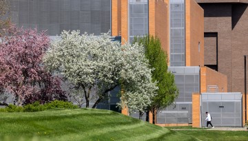Trees pop with color around the campus of the College of Veterinary Medicine.
