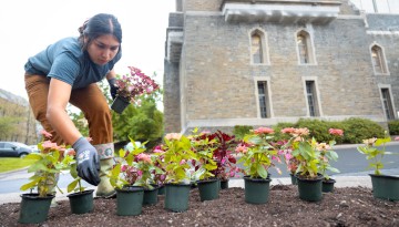 Grounds crew plants new flowers near Barton Hall.
