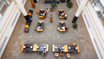 Students study in Mann Library.