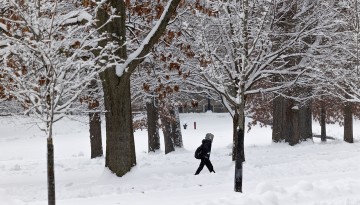 A student crosses a snowy Arts Quad.