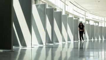 Morning sun casts light on partitions in the Physical Science Building.