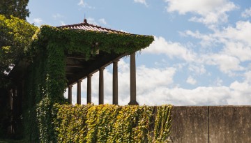 A sunny day at Schoellkopf Field.
