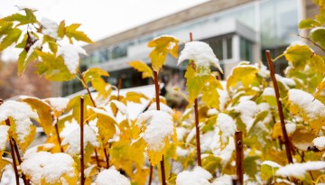 Cornell Health building