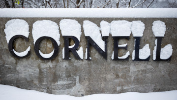 Cornell sign along Hoy Road