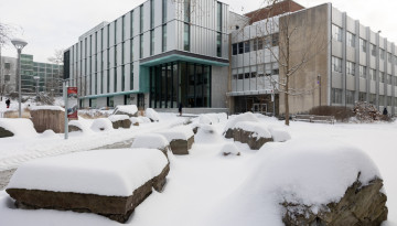 Rock garden on the Engineering Quad.