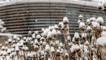 Newman Welcome Center