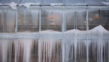 Greenhouses along Tower Road.