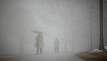 Fog at the top of Libe Slope.