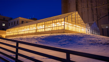 Greenhouses along Tower Road