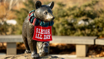 Touchdown statue near Teagle Hall.