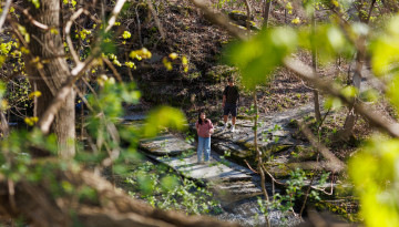 Cascadilla Gorge Trail