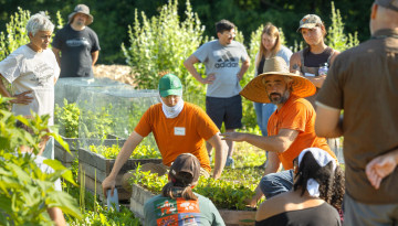 Dilmun Hill Student Farm