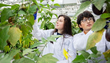 Guterman Bioclimatic Laboratory greenhouses.