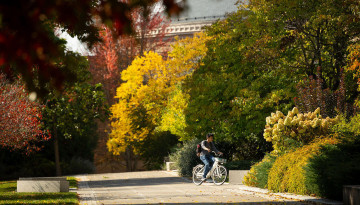 Ag Quad