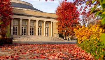 Bailey Hall