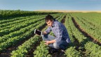 Man with phone checking crops