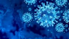 blue coronavirus cells