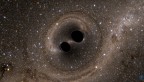 Black Holes still