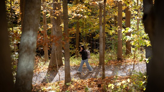 A student walks among the fall leaves along Cascadilla Gorge trail.